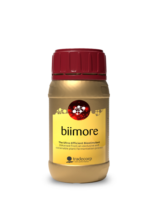 Biimore250List