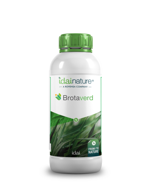 brotaverd