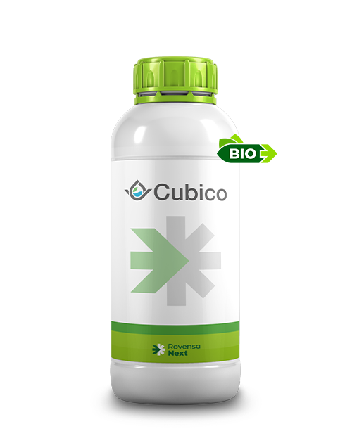 BOTTLE_1L_CUBICO_PER-SITO-WEB