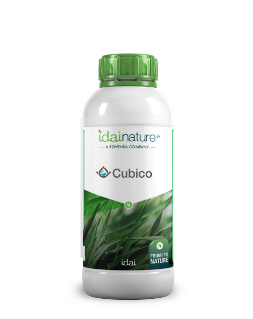 Cubico 1L
