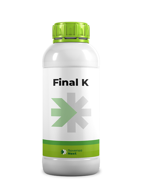 FINAL K_1L_per sito web