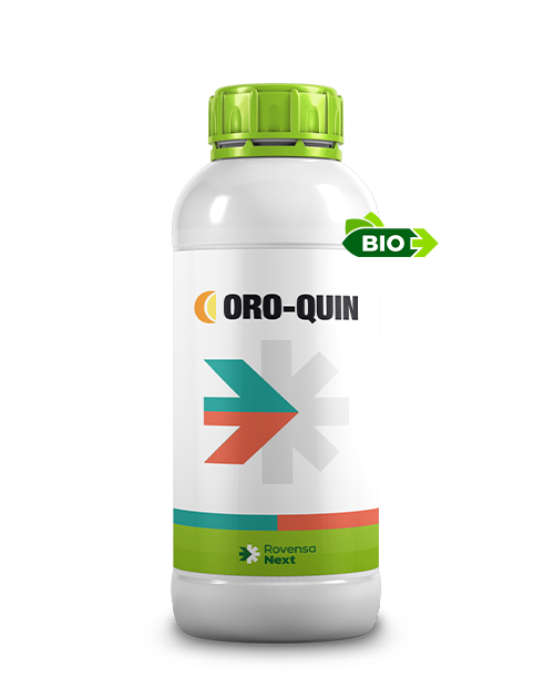 ORO-QUIN BOTTLE_1L_sitoweb