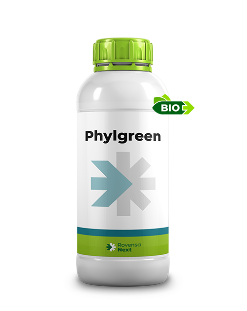 PHYLGREEN_1L_per sito web