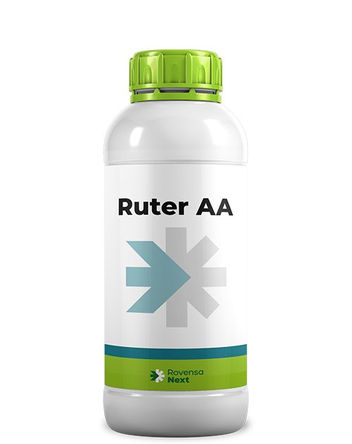 RUTER AA_1L_PER SITO WEB