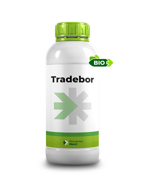 TRADEBOR_1L_per sito web
