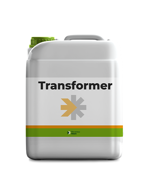 TRANSFORMER_5L_X SITO WEB