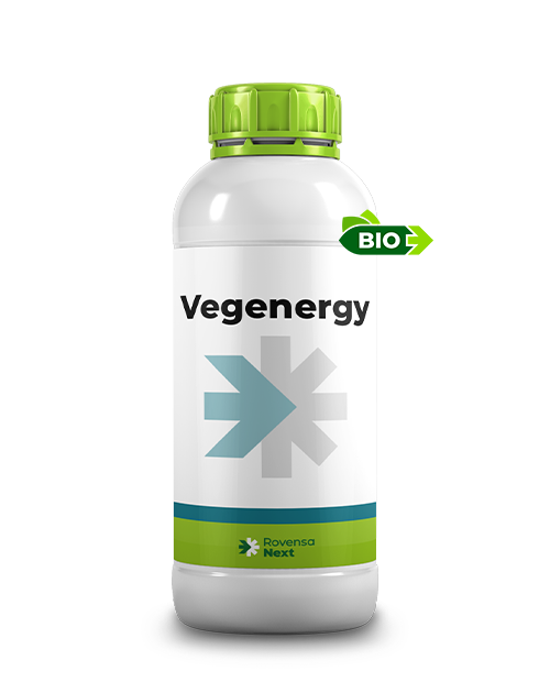 VEGENERGY_1L_per sito web