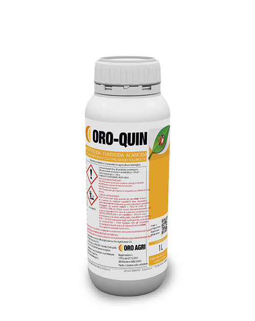 bottiglia 1l oro-quin