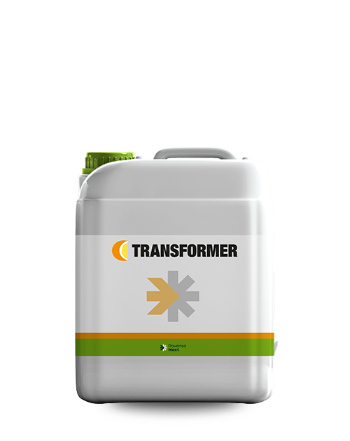 x sito_TRANSFORMER_RN_5L