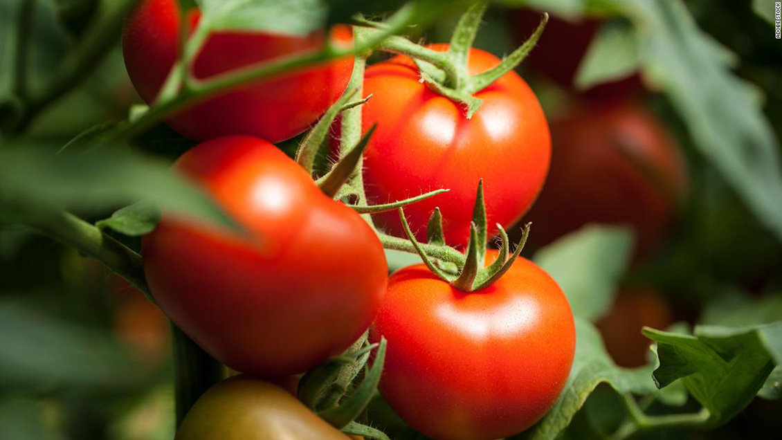 210905193249-04-how-to-make-tomato-sauce-wellness-super-169