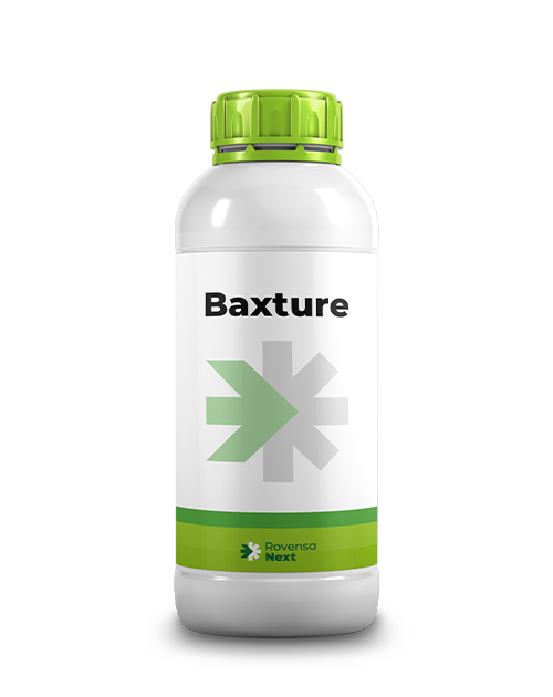 BAXTURE_1L_PER SITO WEB