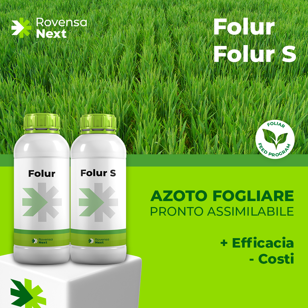 FOLUR + FOLUR S_ROVENSA NEXT
