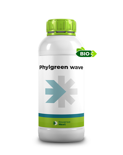 PHYLGREEN WAVE_1L_per sito web