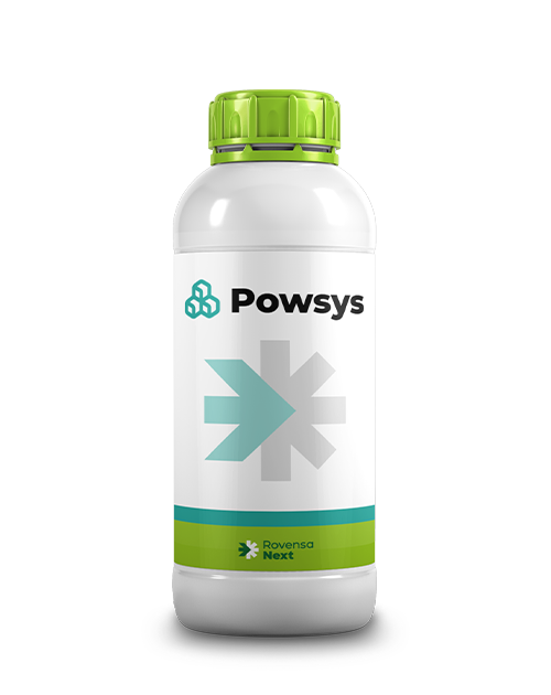 POWSYS_1L_PER SITO WEB