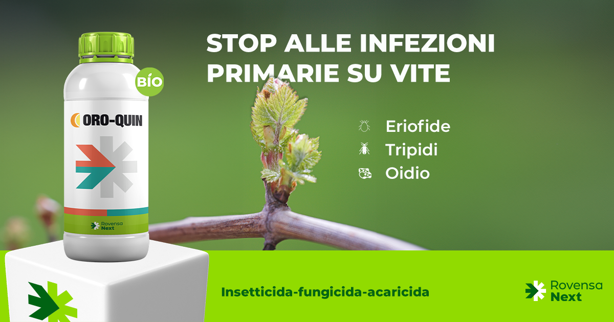 ORO-QUIN INFEZIONI PRIMARIE VITE