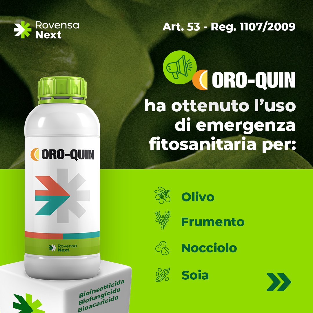 Oro-Quin_ART.53_1