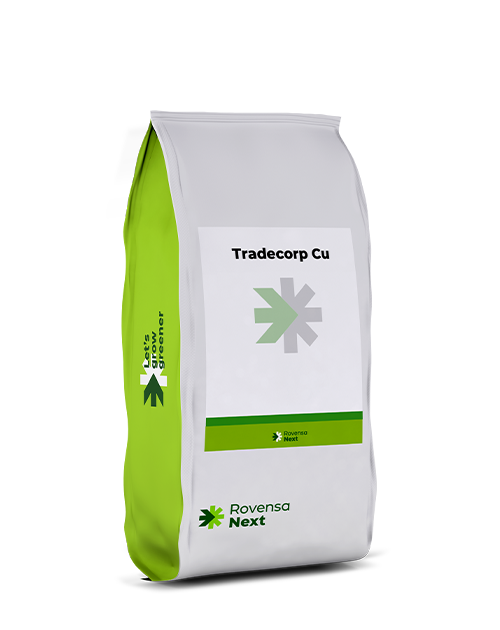 TRADECORP CU_RENDER SITO WEB