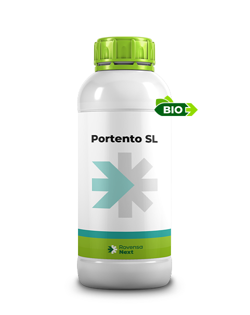 PORTENTO SL_1L_render sito web