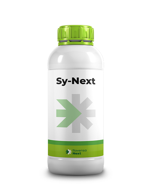 SY-NEXT_BOTTLE_website packaging
