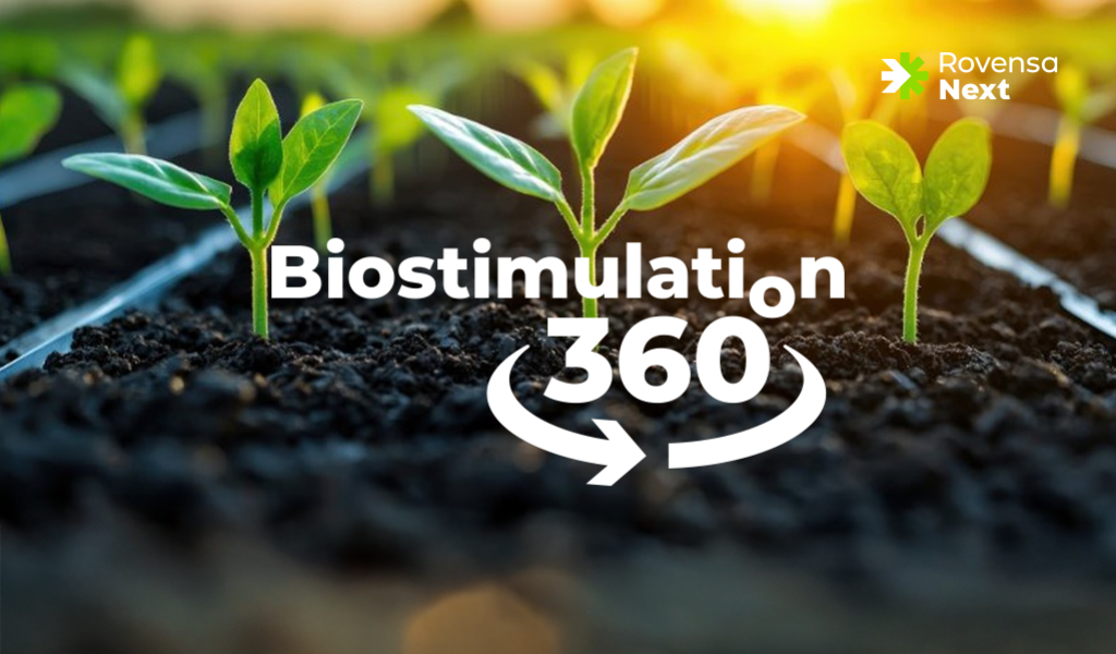 ARTICOLO NUE BIO360