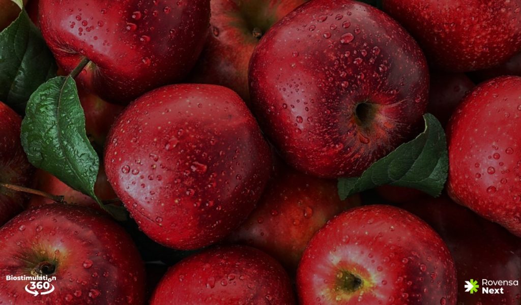 Biostimulation 360º – Sfondo Biostimulation 360º - Sfondo