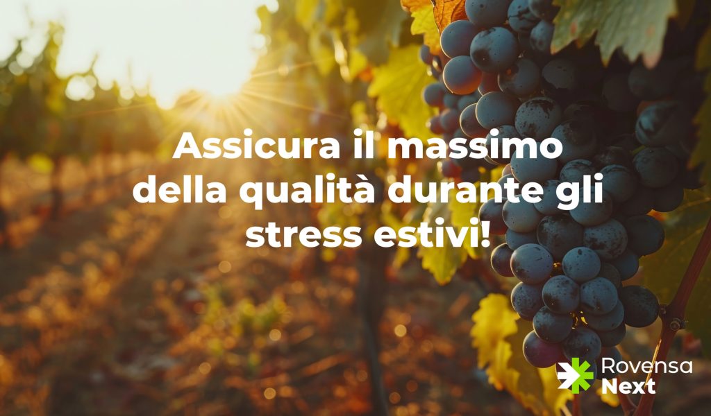 FOTO ARTICOLO