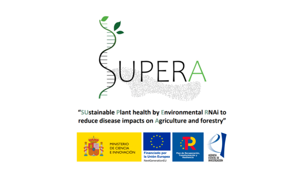 SUPERA-Project