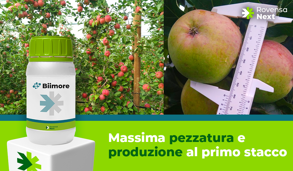 immagine biimore melo per sito_UPDATE
