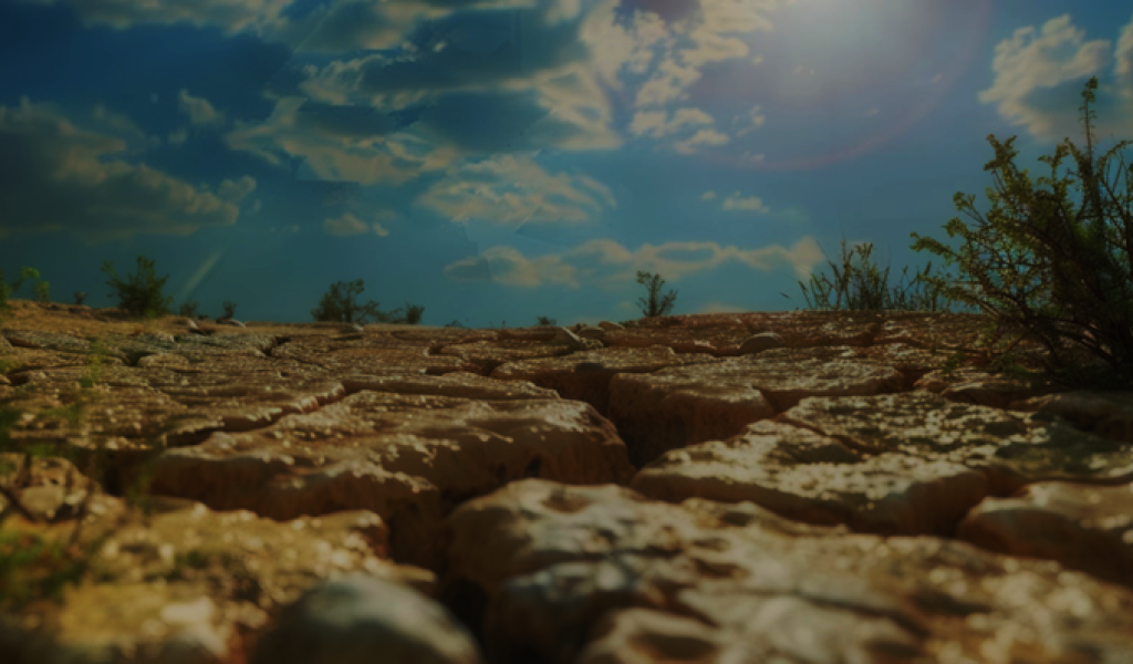 sfondo abiotic stress sfondo abiotic stress